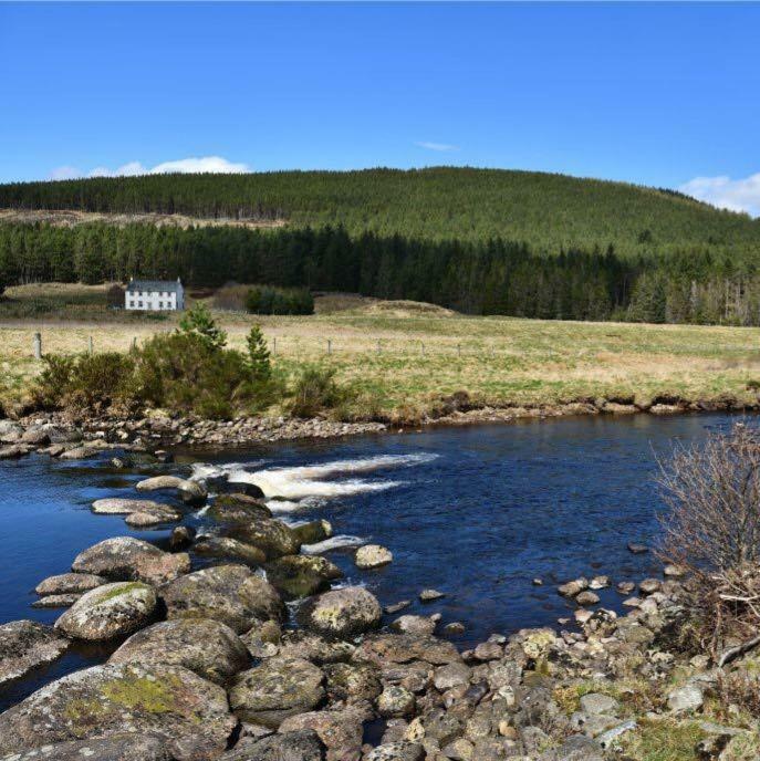 Knocklea Villa Alness Eksteriør billede